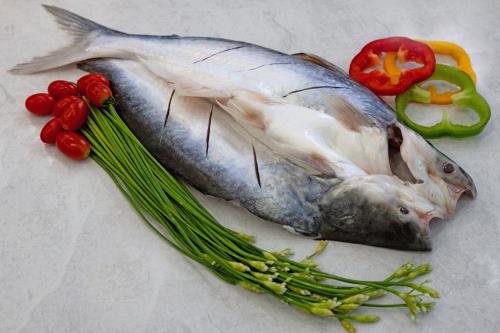 �_����ɳ�~