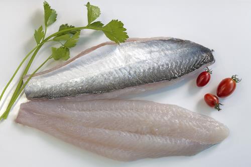 ��Ƥ��ɳ�~Ƭ