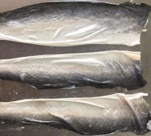 ����ɳ�~Ƥ