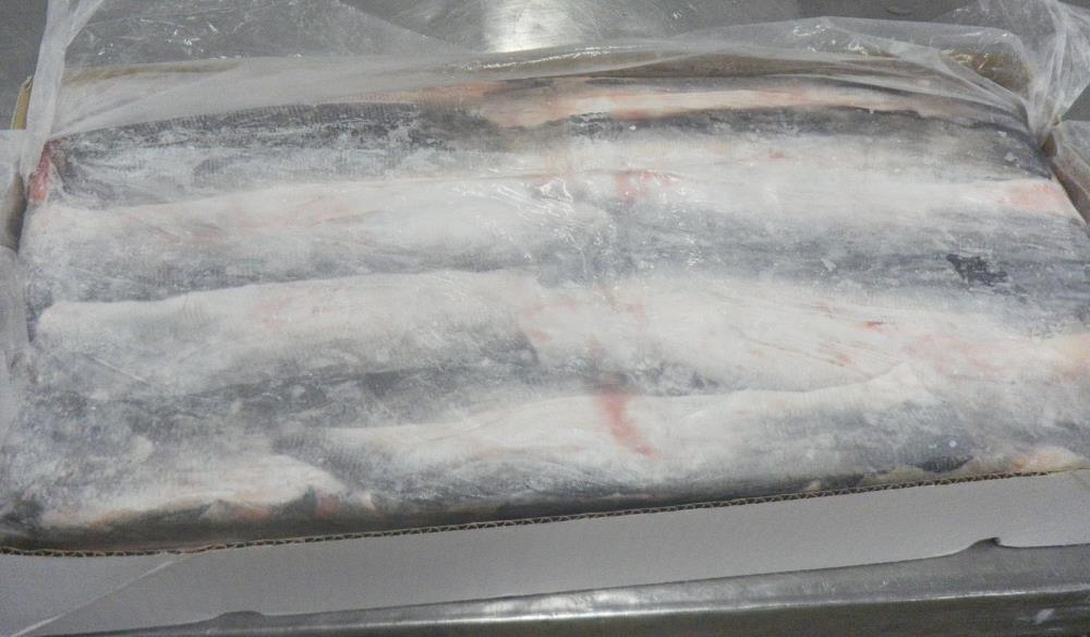 ����ɳ�~Ƥ