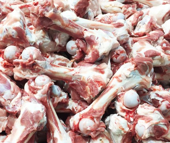 ���i��Ͳ��